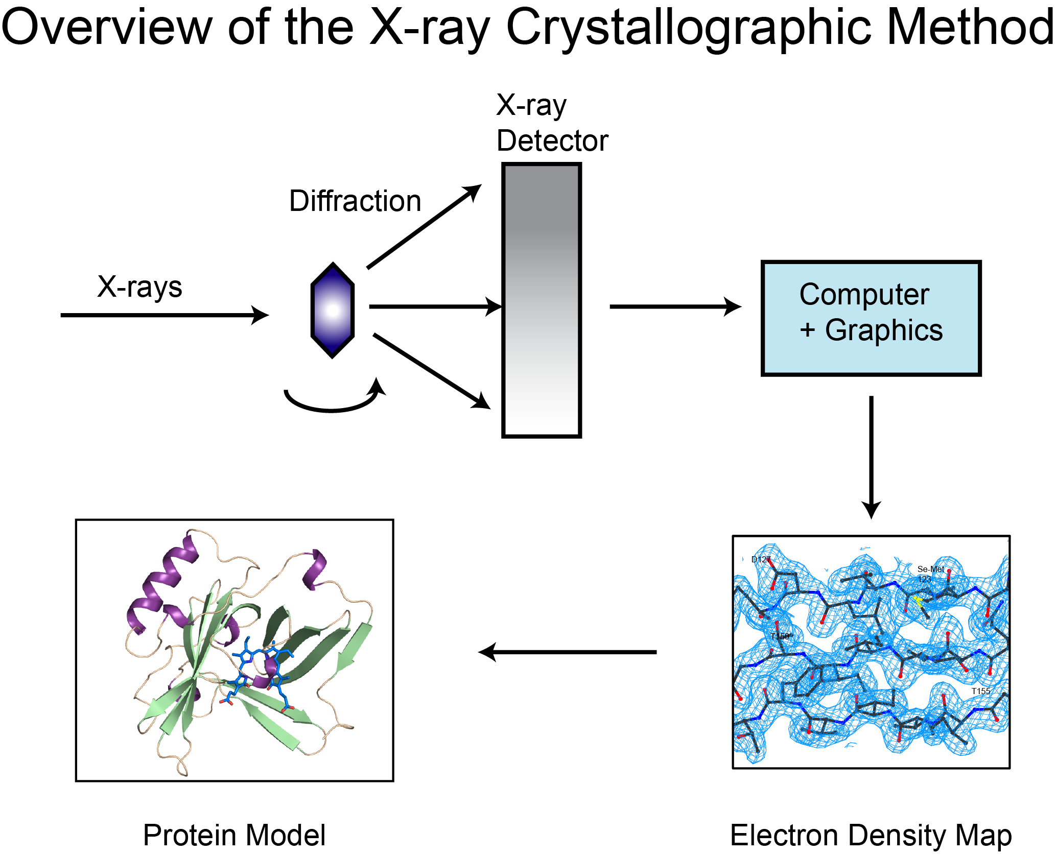 X ray diffraction crystal structure